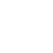 The Standard 509