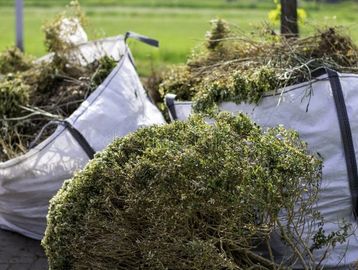 Garden clearance service 