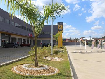 Jardins de conjunto comercial street mall tapajós em betim - MG . Contém grama , palmeiras e lojas