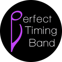 The Perfect Timing Band 