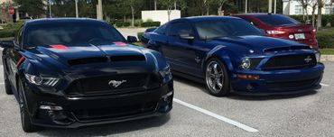 Shelby GT500 blue 
mustang 5.0 black