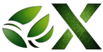 Green X Solutions