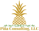 Piña Consulting LLC