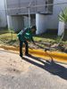 Trabajos de jardinería 
