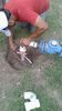 Reparación de fugas de agua