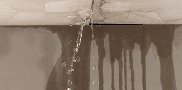 Water leak due to roof leak, emergency repair number quoted