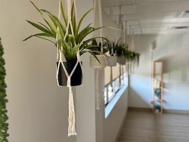 A row of hanging plants in macramé holders along a bright hallway.