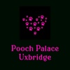 Pooch Palace Uxbridge