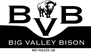 Big valley bison, big valley, AB 