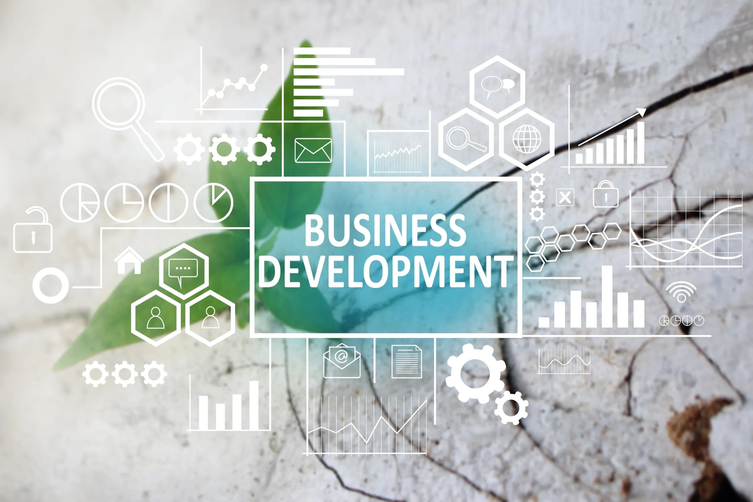Business Development 