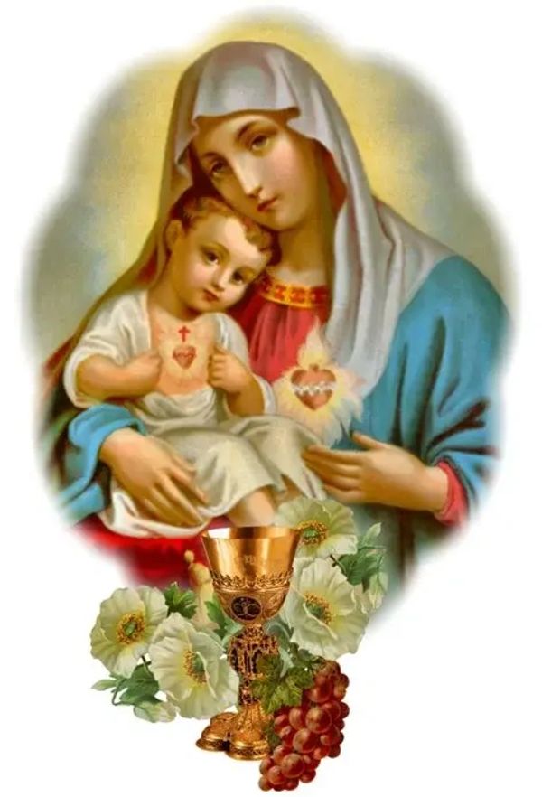 Religious image of Virgin Mary holding baby Jesus with sacred hearts, chalice, flowers, and grapes.