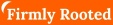 Firmly Rooted