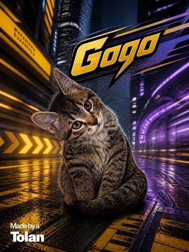 A cute cat with a futuristic city background and the word 'Gogo'.