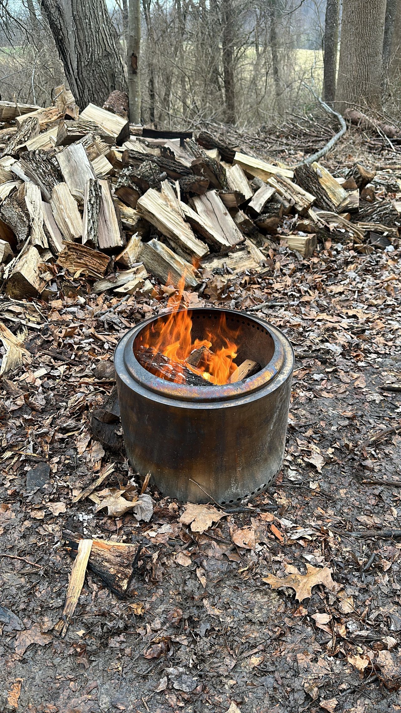 SoloStove: Non-Biased Opinion