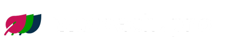 execoach.pro