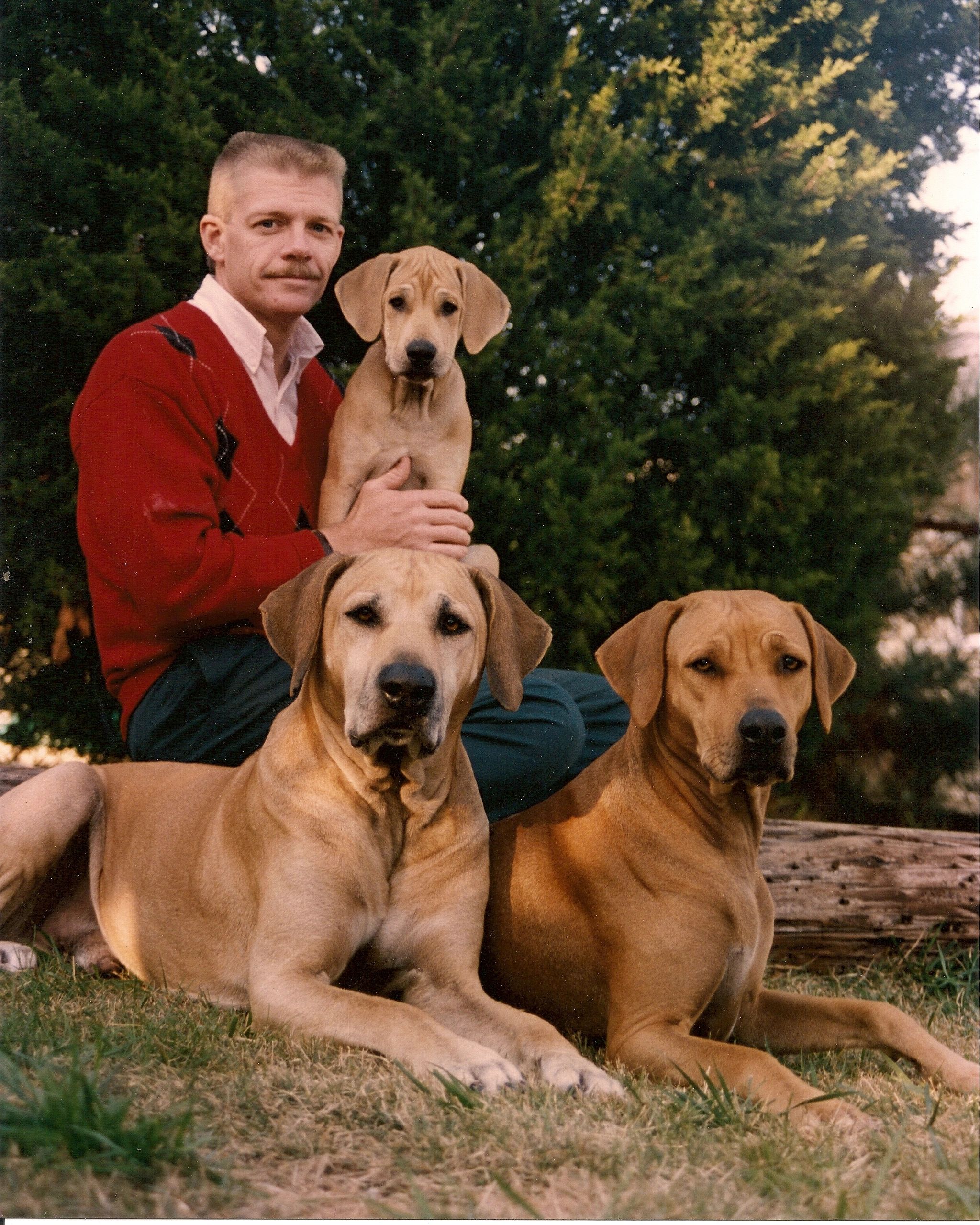 Mystic Isle Rhodesian Ridgebacks