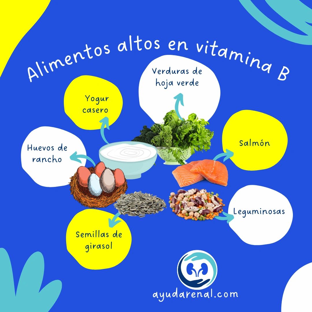 Alimentos Con Vitamina B Vitamina B12: Para Qué Sirve Y En Qué