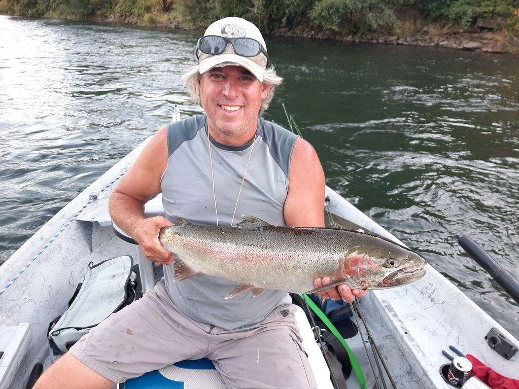 Mckenzie River Summer Steelhead.  Angler is Ferris Tolman of Fishing with Ferris Guide Service