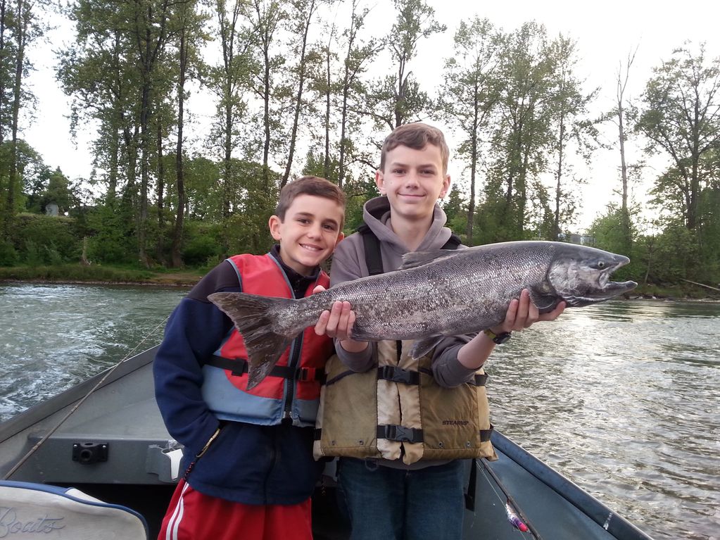 Middle Fork Willamette River Spring Salmon