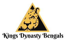 Kings Dynasty Bengals