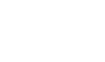 Zenjoy