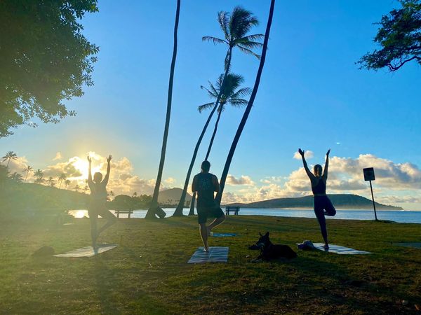 Three people and a dog facing the sunrise in tree yoga pose on an tropical, oceanfront in Honolulu