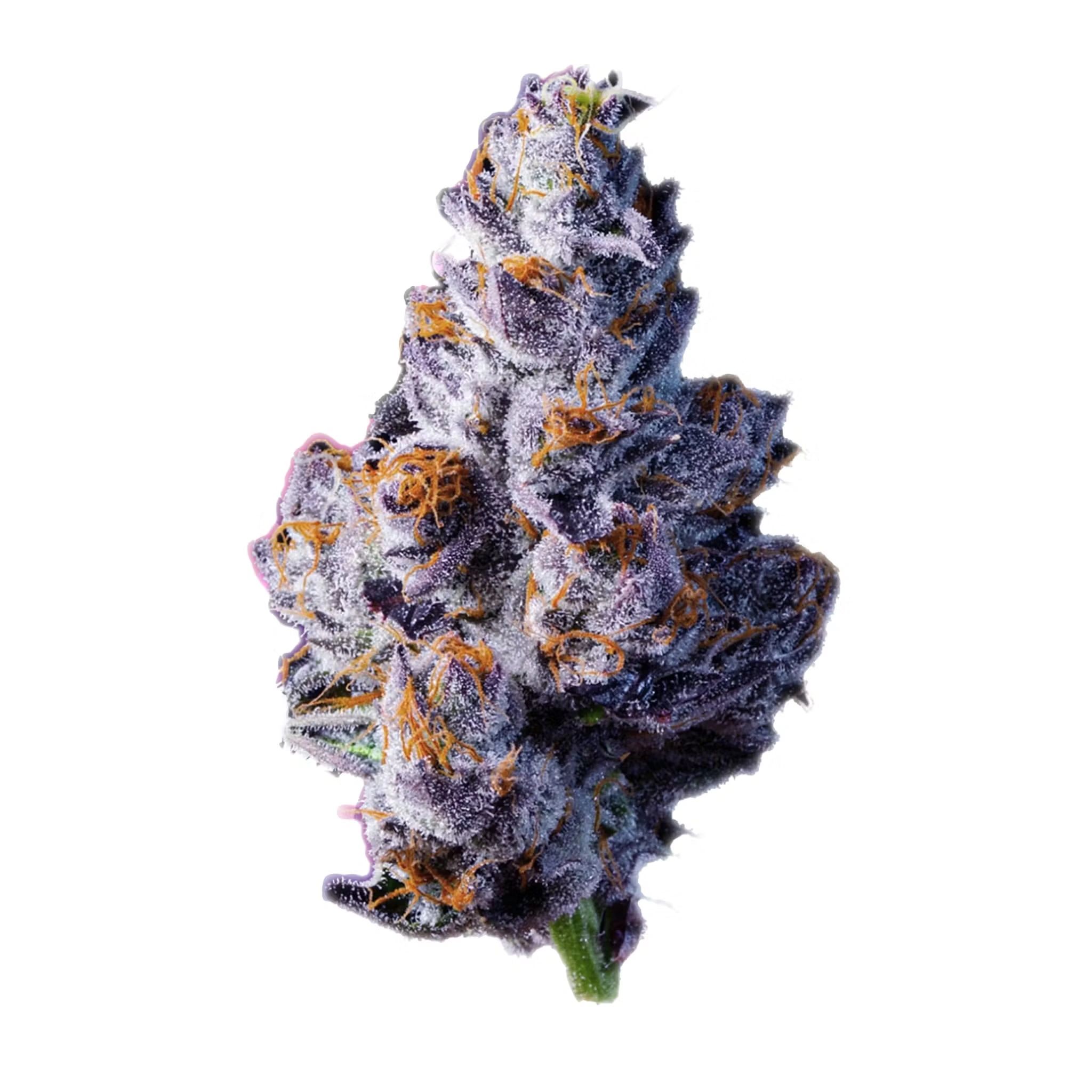 recreational-marijuana-near-me-medex