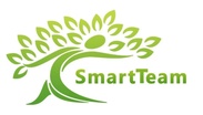 SmartTeam Fintech