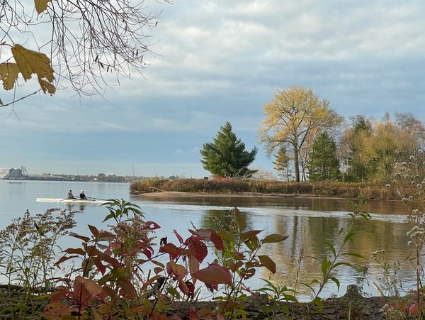 Tranquil water scene featuring a boat with two individuals rowing, framed by autumnal branches.
