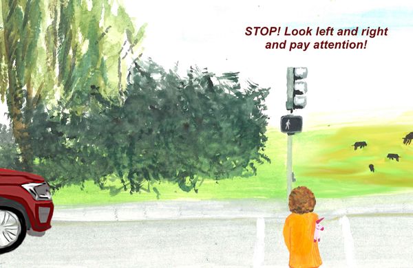 Traffic education in Lilly and the Purple House