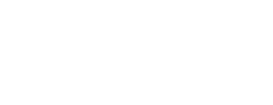 Bearded Bro Home Services