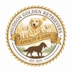 Hudson
Golden Retrievers