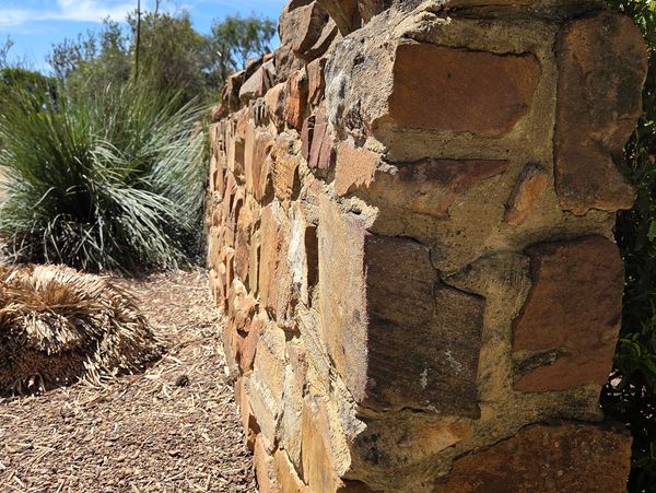 Close-up of a stone wall with dry mulch and plants in the background.