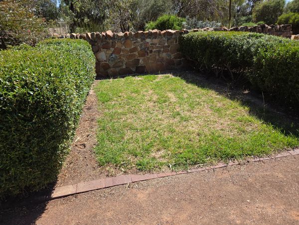 A small lawn patch bordered by trimmed hedges and a stone wall.