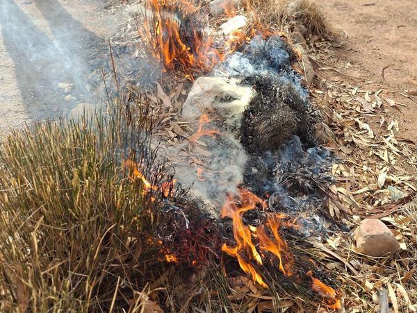 A small brush fire burns dry grass and leaves outdoors.