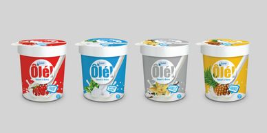 Dairy Product
Packaging
Labeling
Branding Services
Advertising
Design
Hazelbees
