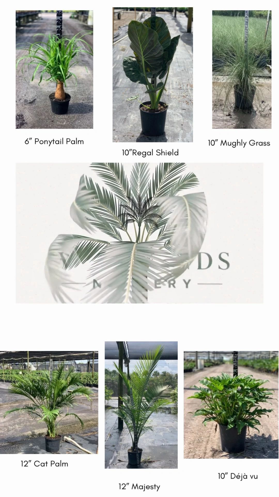https://img1.wsimg.com/isteam/ip/b50c3b40-61c2-4b6b-a077-406e98bcf346/thumbnails/thumbnail-05f24a83-5fad-4e66-bbf8-20b1f5bf86fe.png
