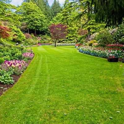Spring Garden