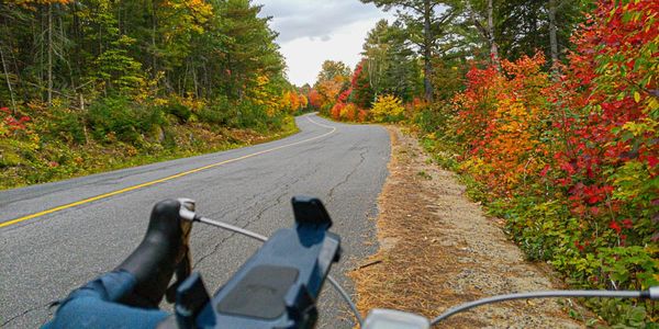 View from a bicycle on a winding road surrounded by autumn trees.