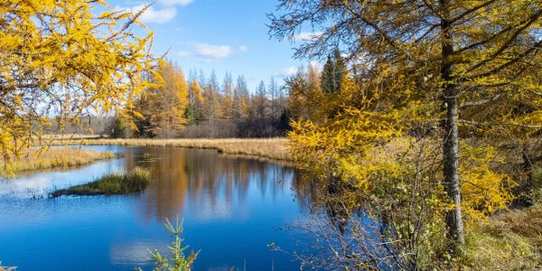 Serene lake surrounded by autumn trees.