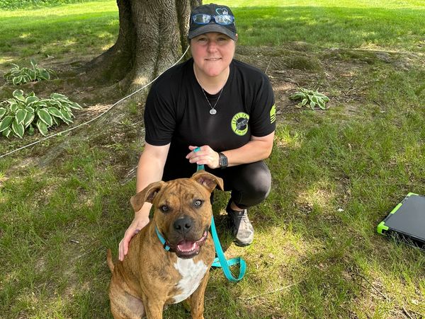 dog trainer with dog in yard under tree