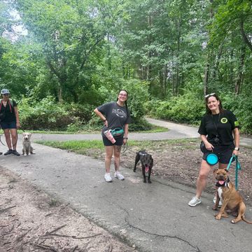 Group of people and dogs on a trail
