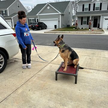 women and dog in driveway 