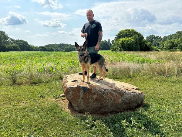 dog trainer and dog on large rock