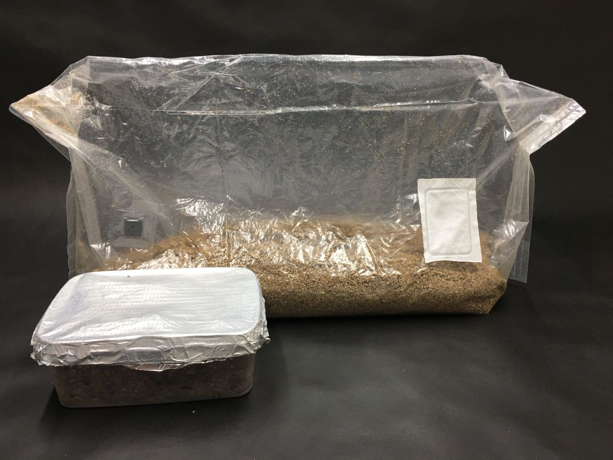 Mushroom Growing Kit 4LBs , Bag with Oxygen Release