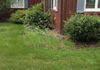 image99