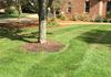 image95