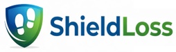 ShieldLoss