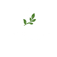 Anchor Vine Team