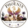 Phoenix Feline Fanciers